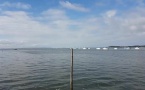 Le Bassin d' Arcachon depuis Arès