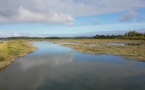 Magnifique vidéo des près salés d'Arès