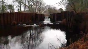 20170116_134253.mp4