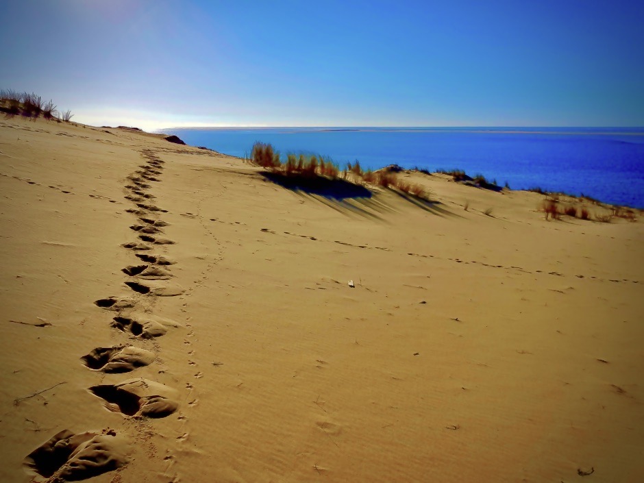 Marche sur la dune du Pilat