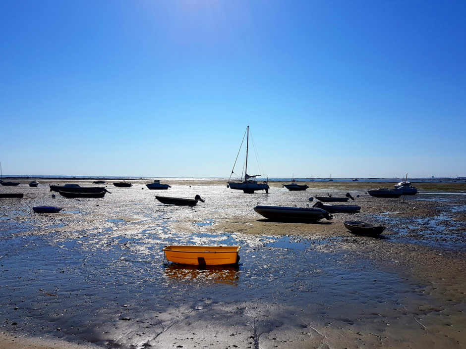 Petit Piquey sur la presqu'île de Lège Cap Ferret