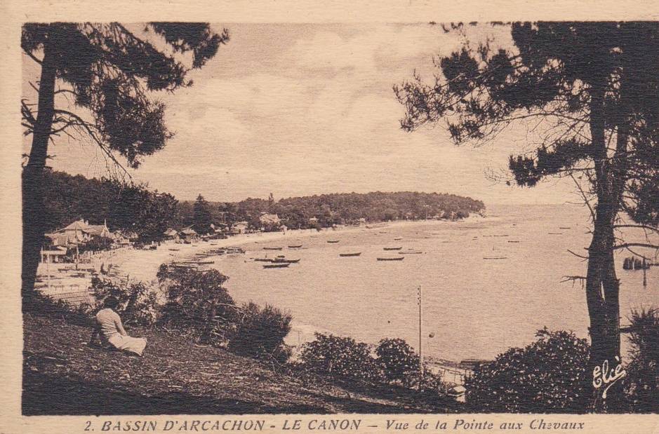 La magnifique pointe aux chevaux et son point de vue sur le bassin d' Arcachon