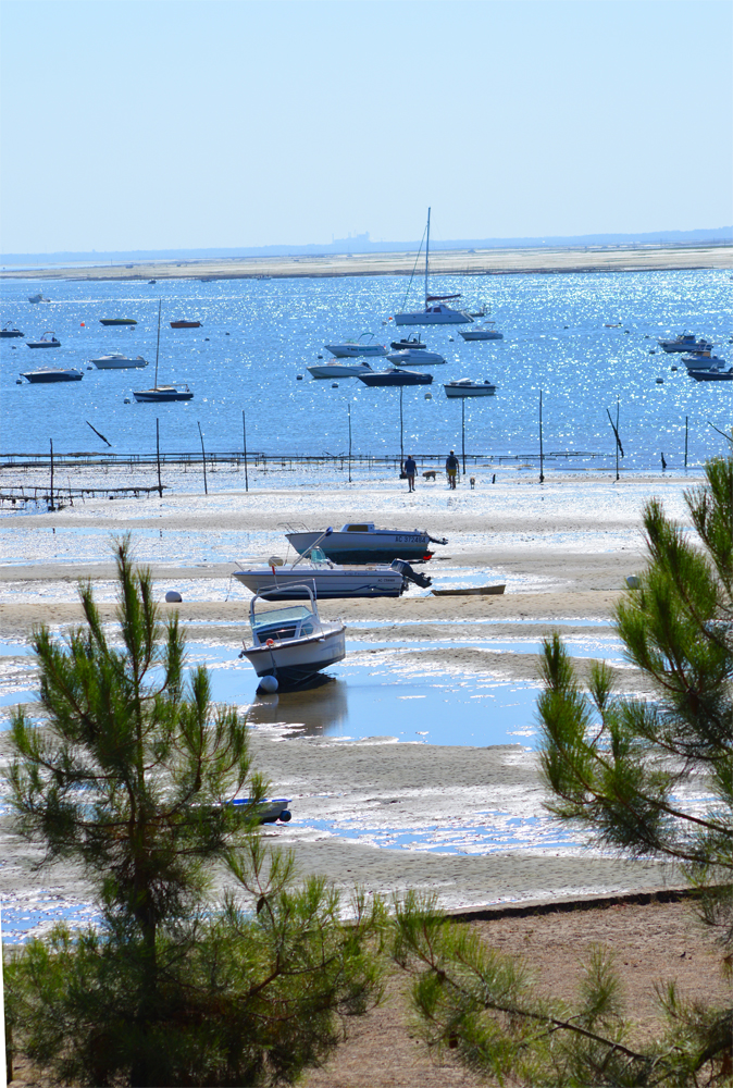 Balade entre bateaux sur le bassin d' Arcachon