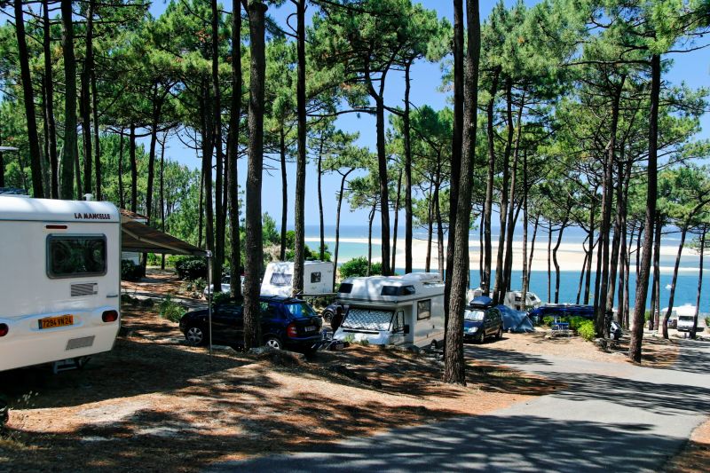 Camping Bassin d'Arcachon - photo Camping Panorama