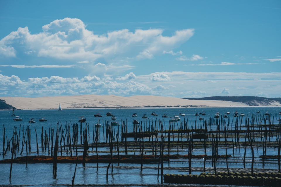 Ostréiculture du bassin d’Arcachon touchée par les tempêtes