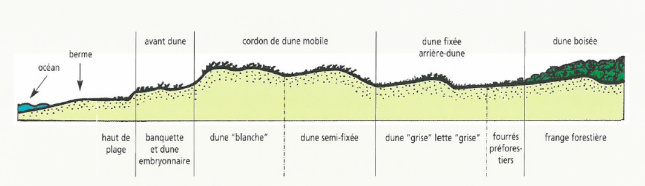 Où trouver une dune blanche ?