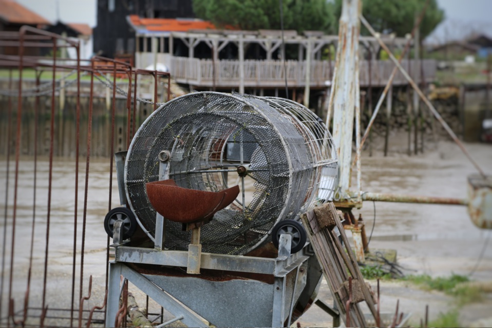 Visite au port de LARROS à Gujan Mestras façon gourmande