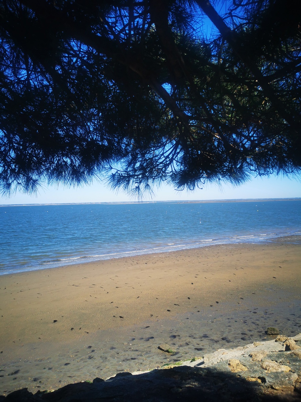 Qu’est ce que le(s) bassin(s) d’Arcachon ?