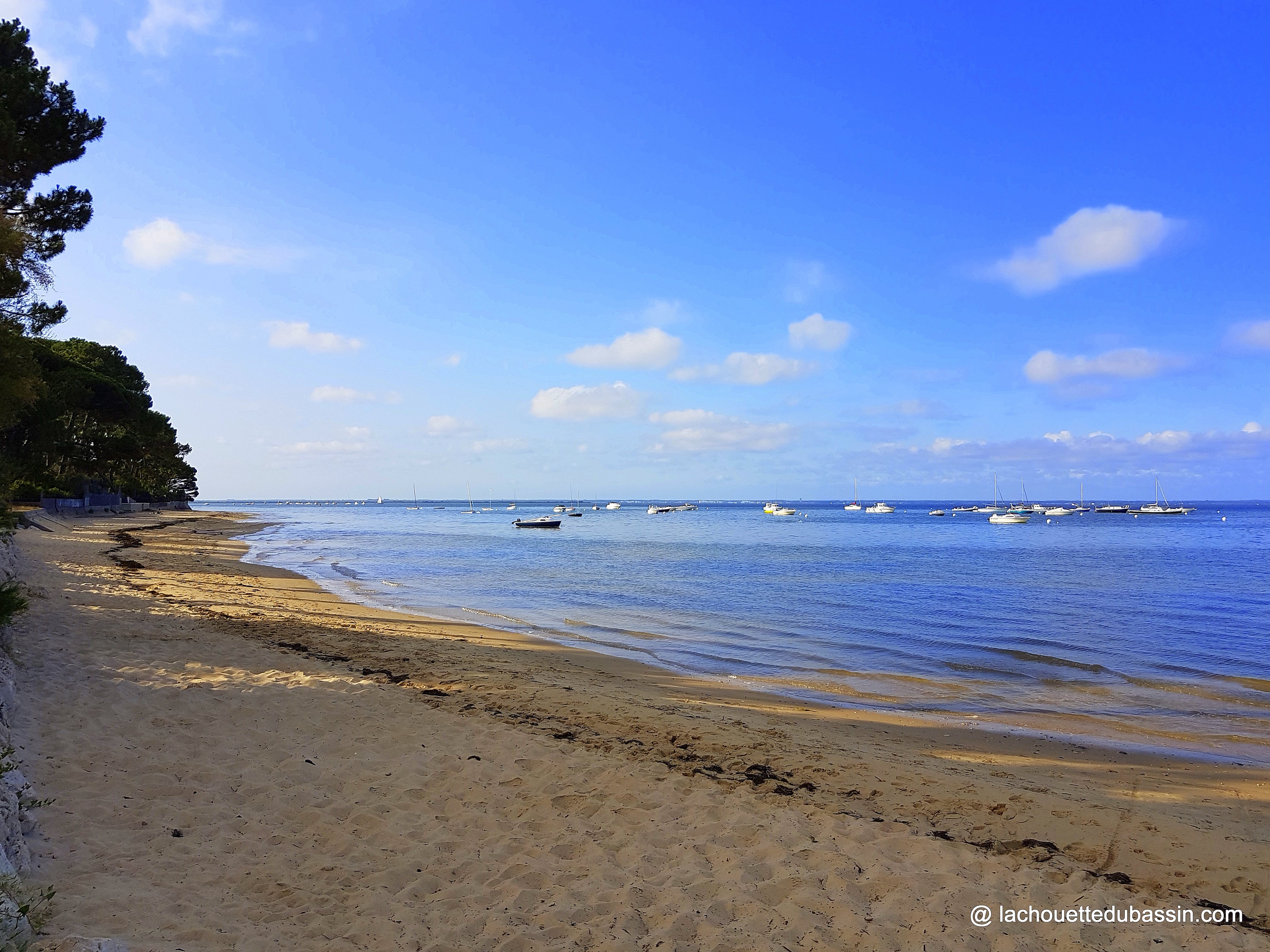 Balade sur la plage du Bassin d' Arcachon en hiver