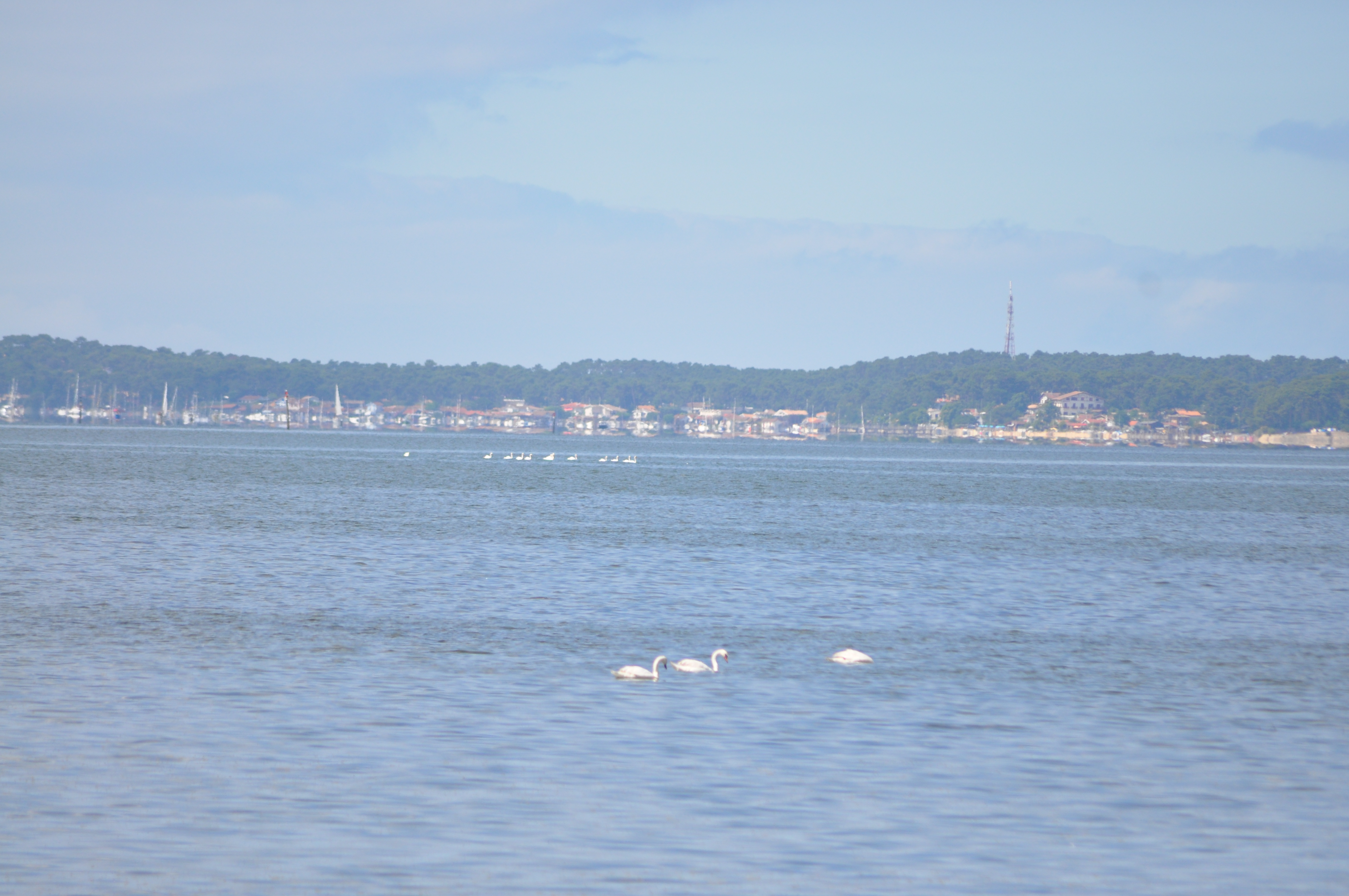 Bassin d' Arcachon couleur pastel depuis Arès