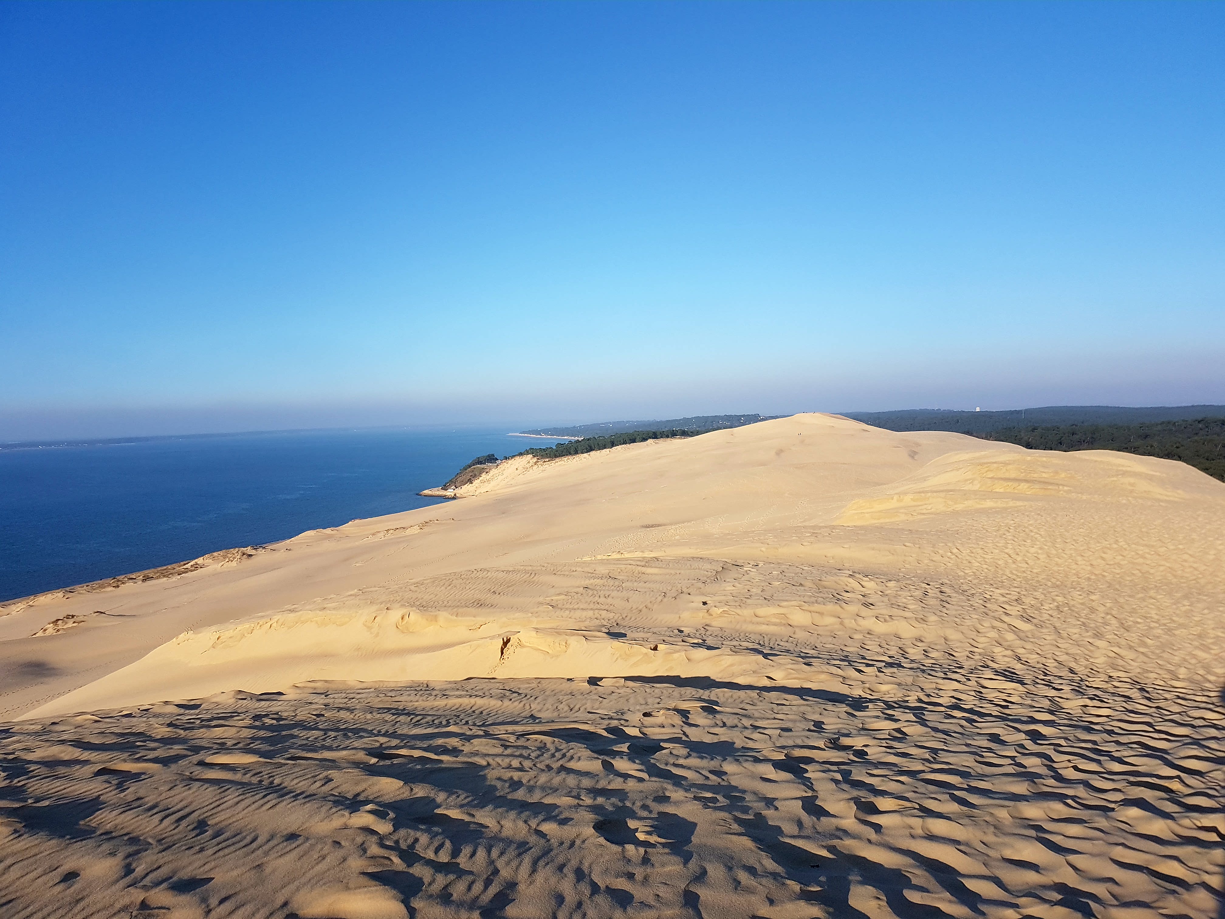Dune du Pilat 2.9 km de longueur