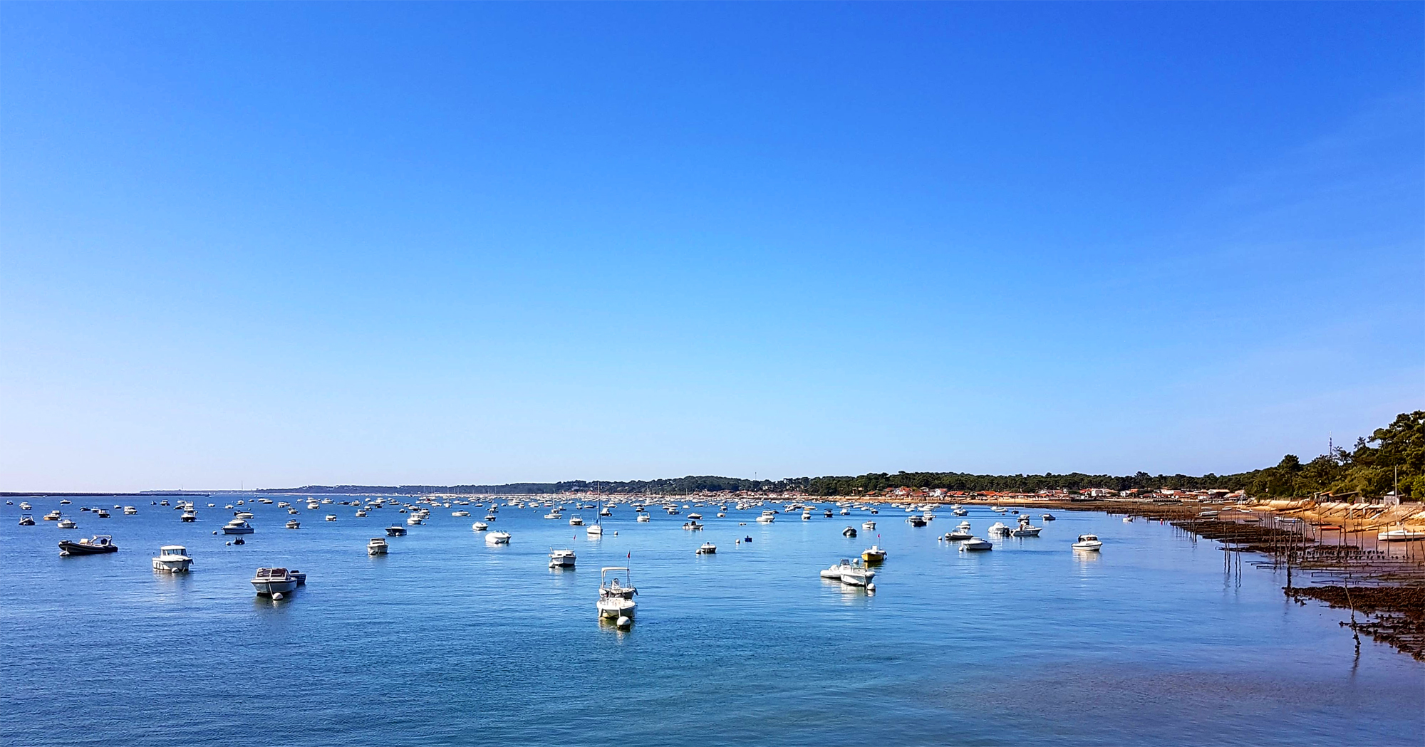 Grand Piquey et bleu d'été