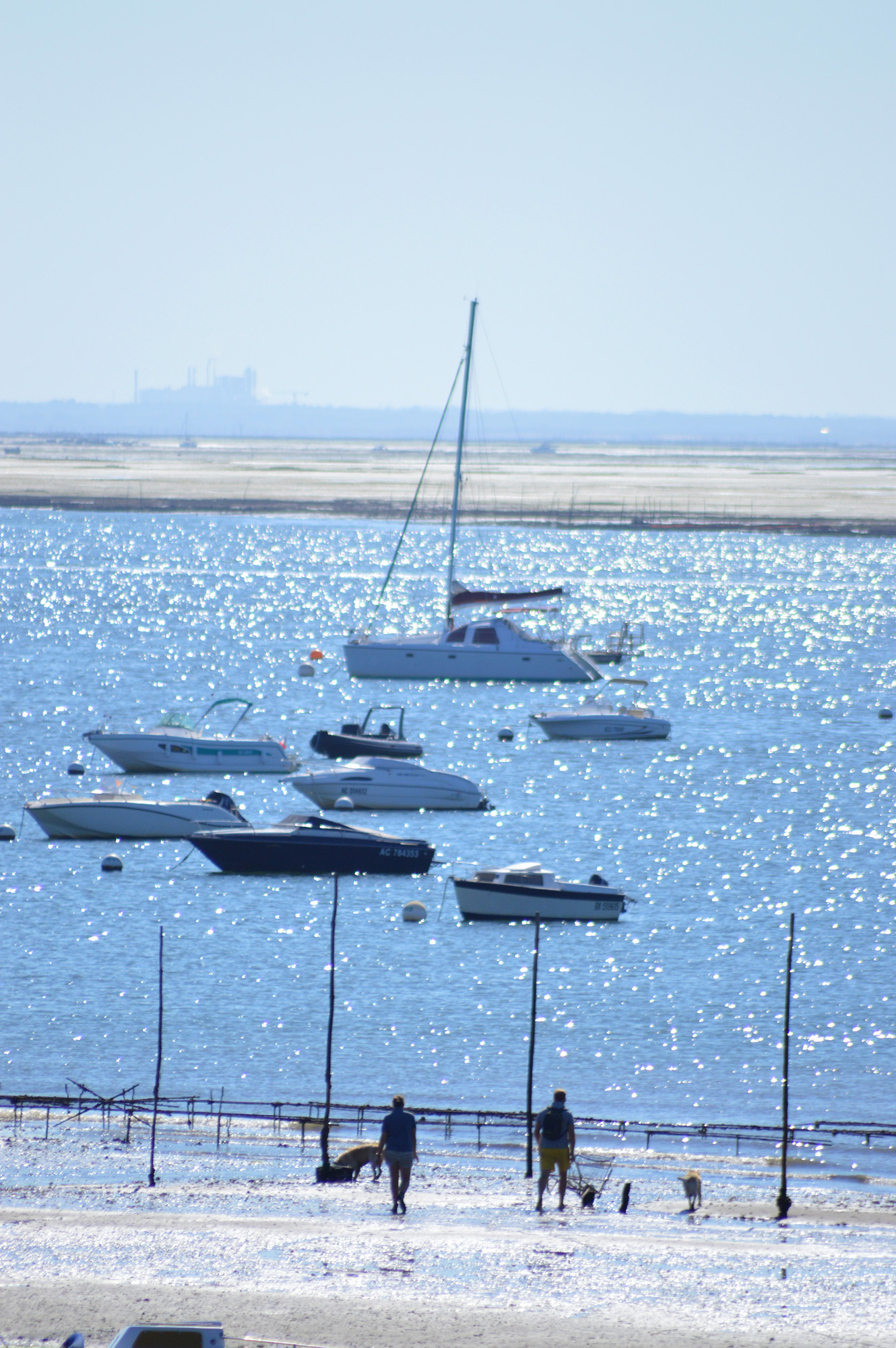 Balade sur bassin d' Arcachon à marée basse