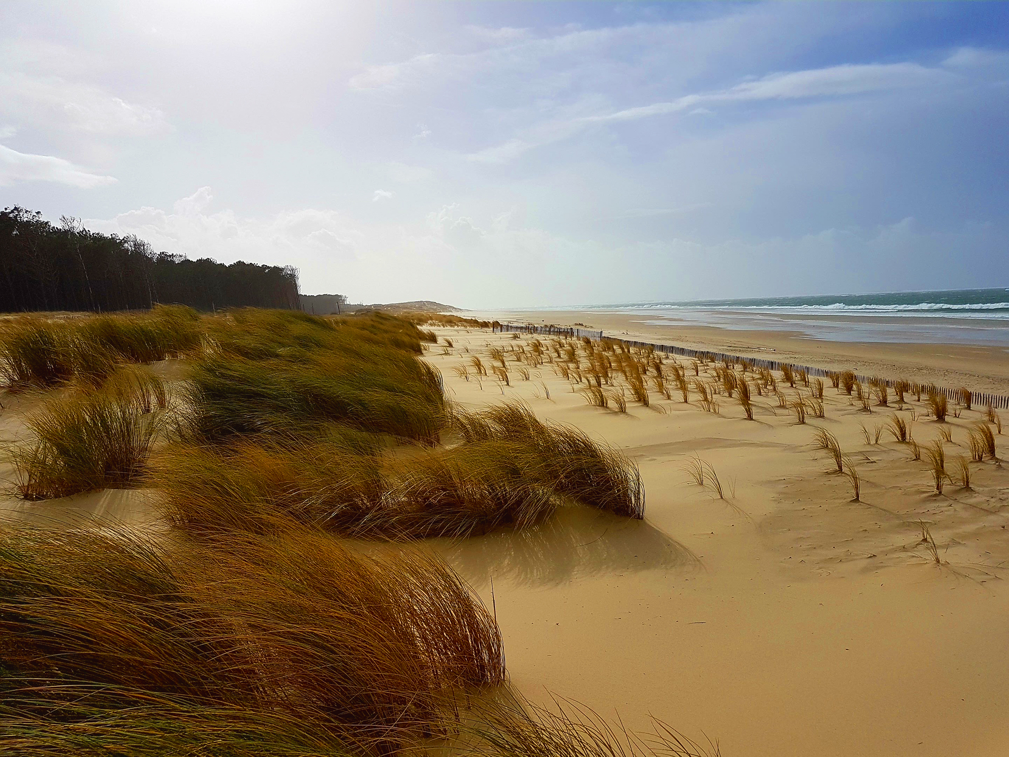 Lagune et vent d'océan Lagune et vent d'océan
