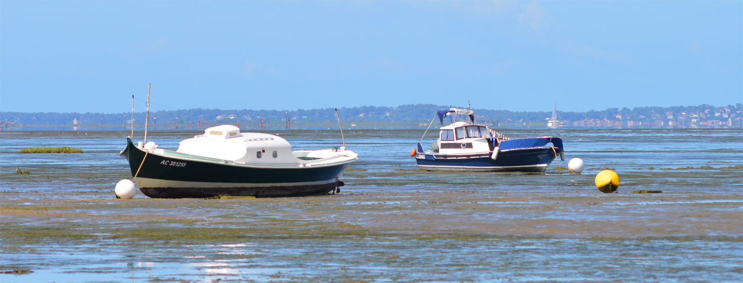 Quel bateau pour un tour de bassin d' Arcachon