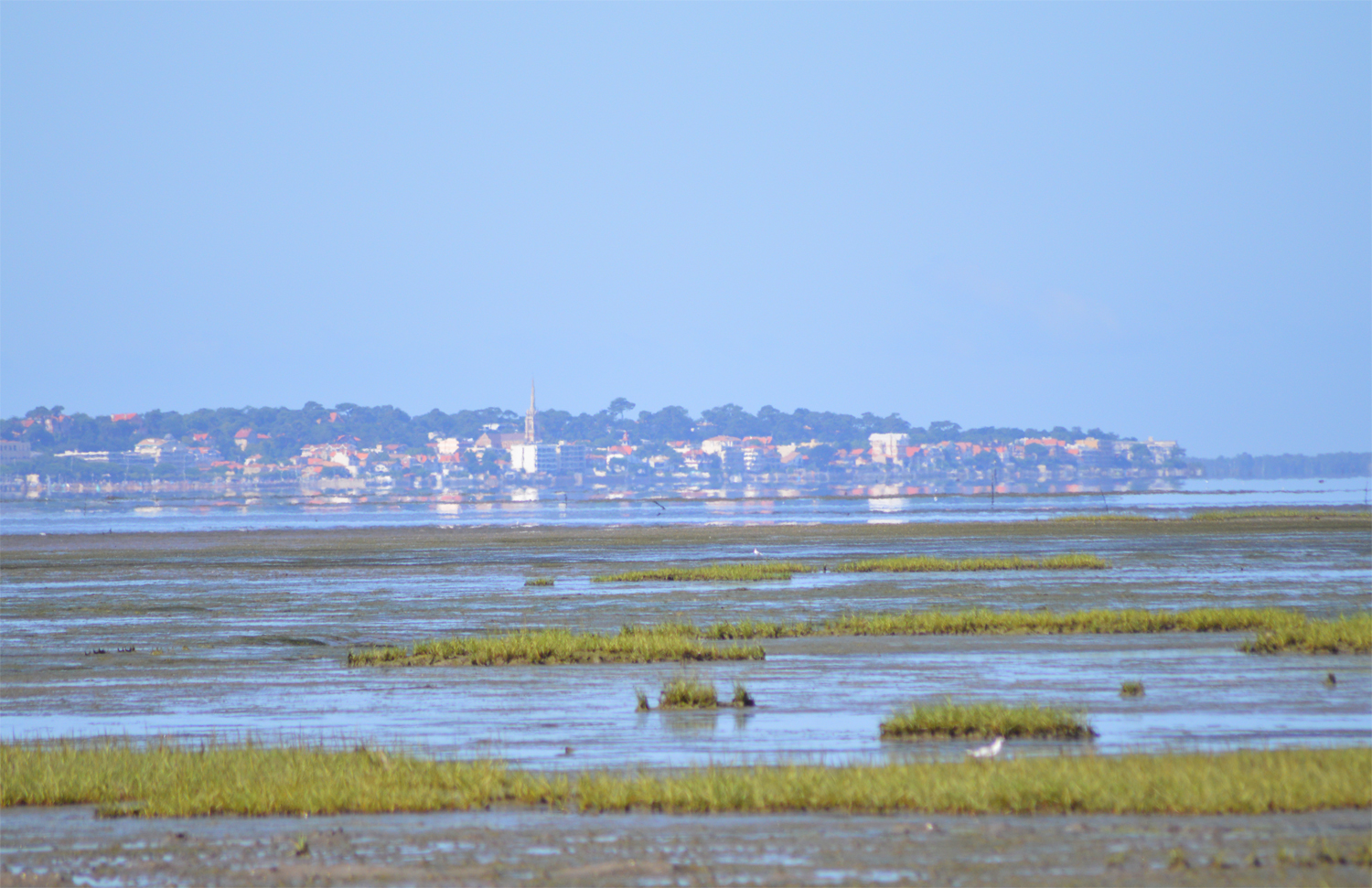 Quelle commune du bassin d' Arcachon voit-on au loin ?