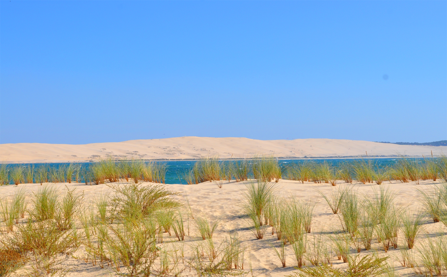 Vue sur la dune depuis la pointe du Cap-Ferret