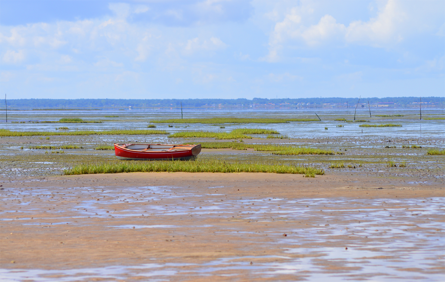 Paysage de Taussat zen