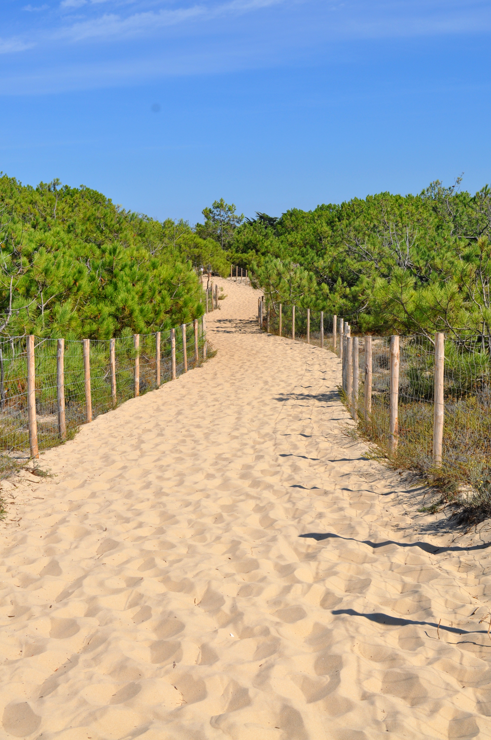 Prêt à vous promener sur le bassin d' Arcachon cet été ?