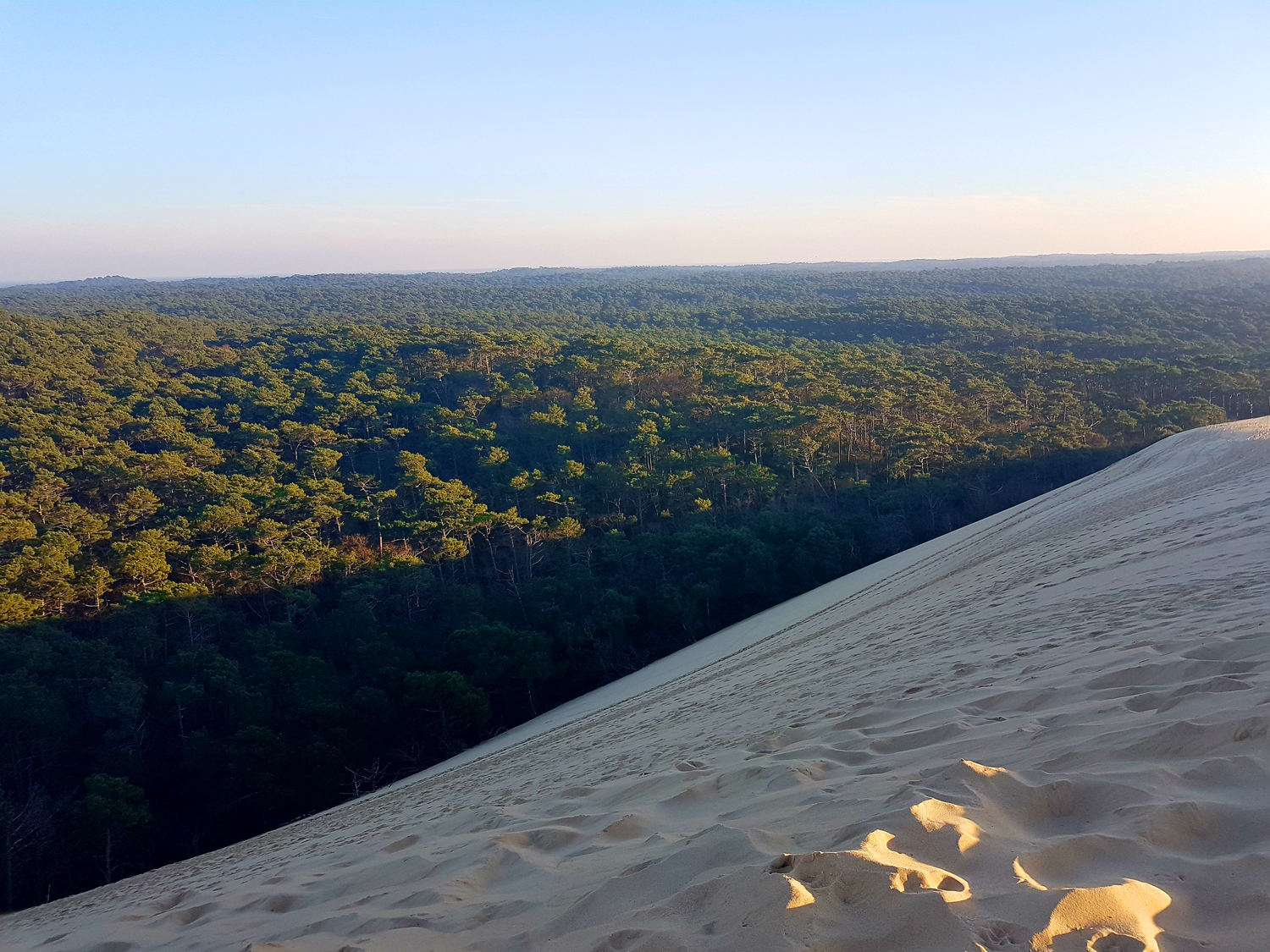 Face est de la dune du Pilat