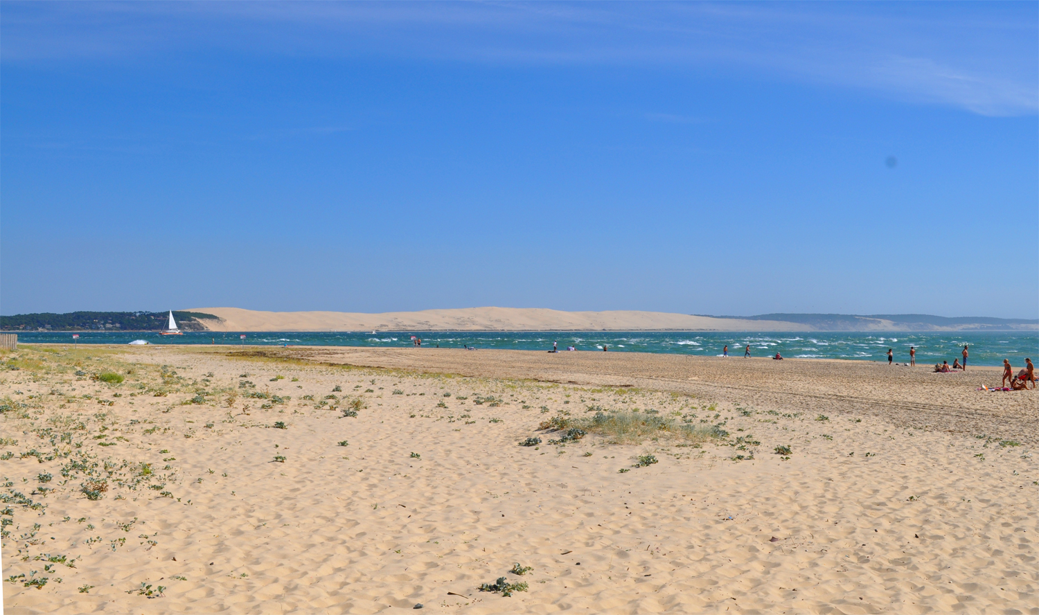 A faire sur le Bassin d' Arcachon