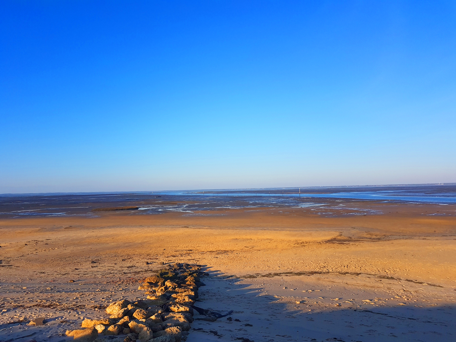 Entre la Teste et Gujan-Mestras Entre la Teste et Gujan-Mestras
