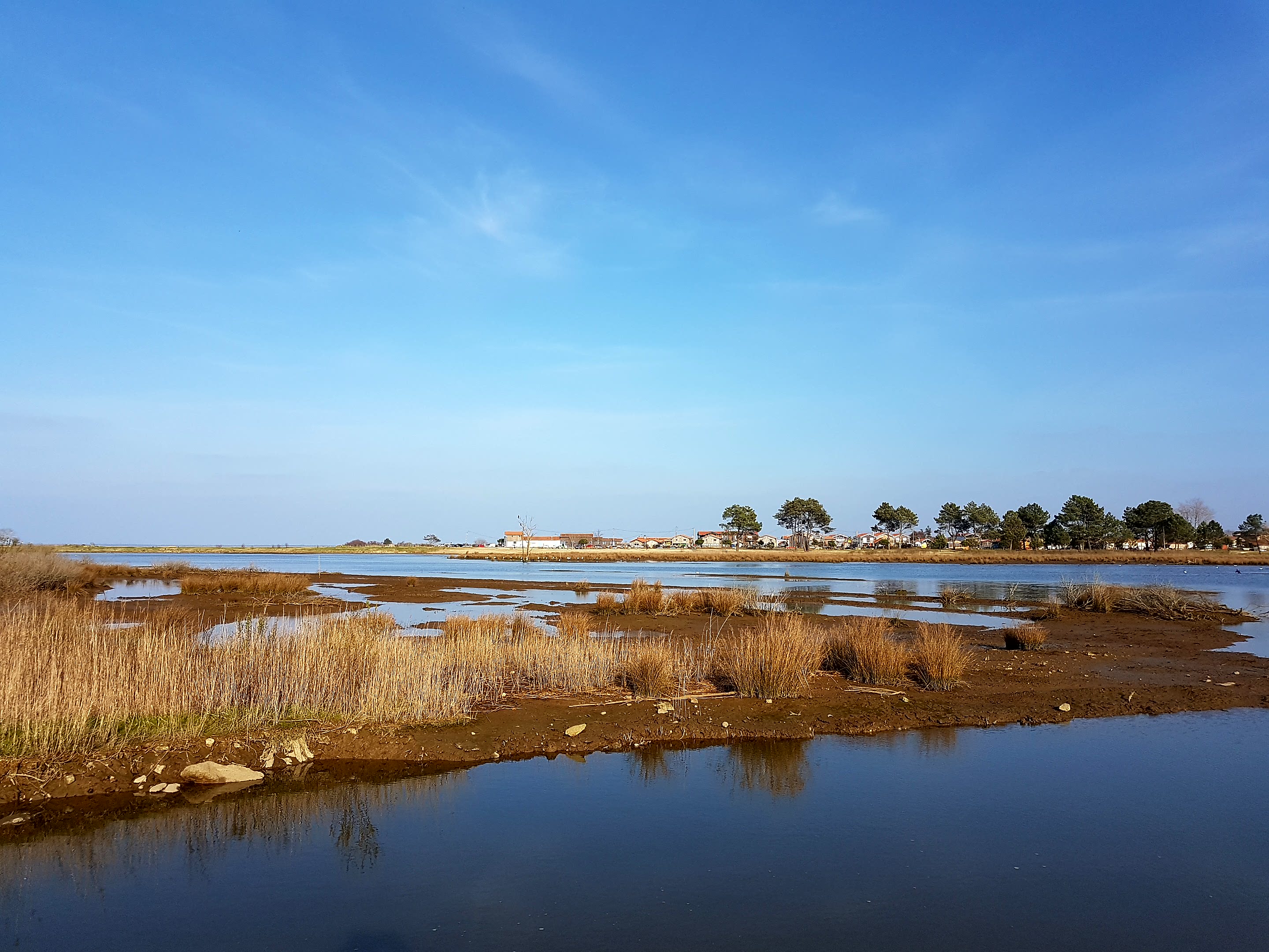 Près Salé ouest : jolie balade en Arcachon et la Teste