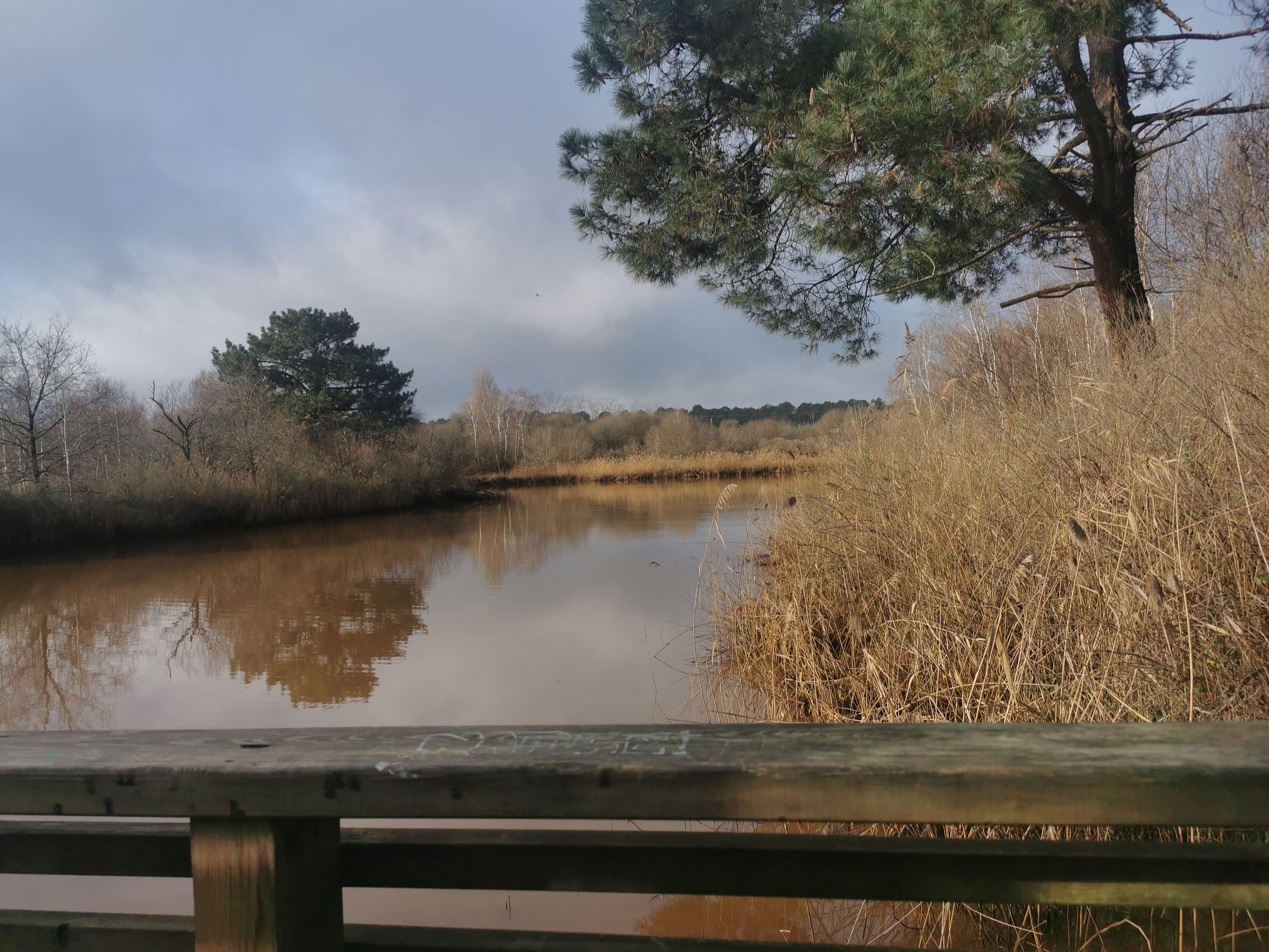 Près Salé ouest : jolie balade entre Arcachon et la Teste