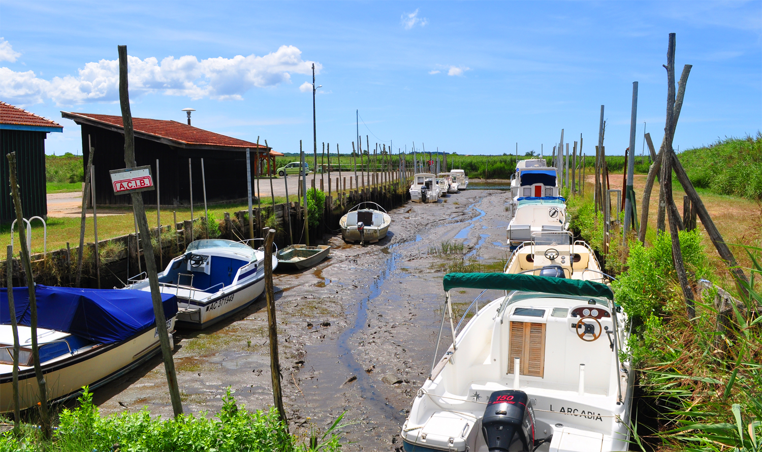 Port aux tuiles à Biganos - marée basse