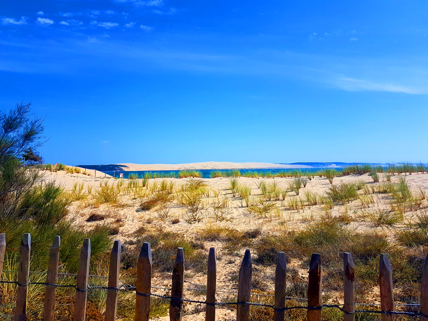 La dune du Pilat au détour d'un chemin