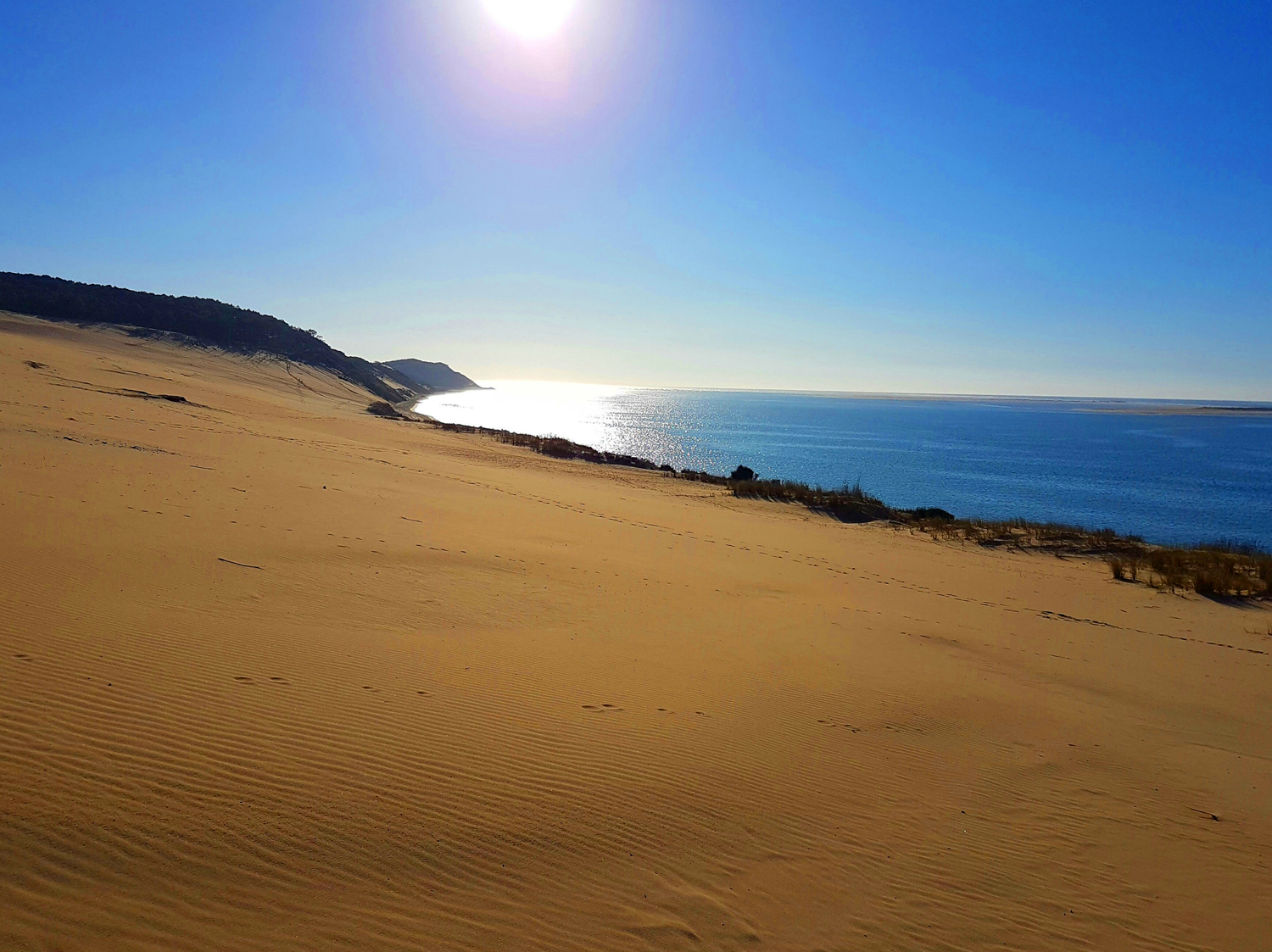 Dune du Pilat flan océanique