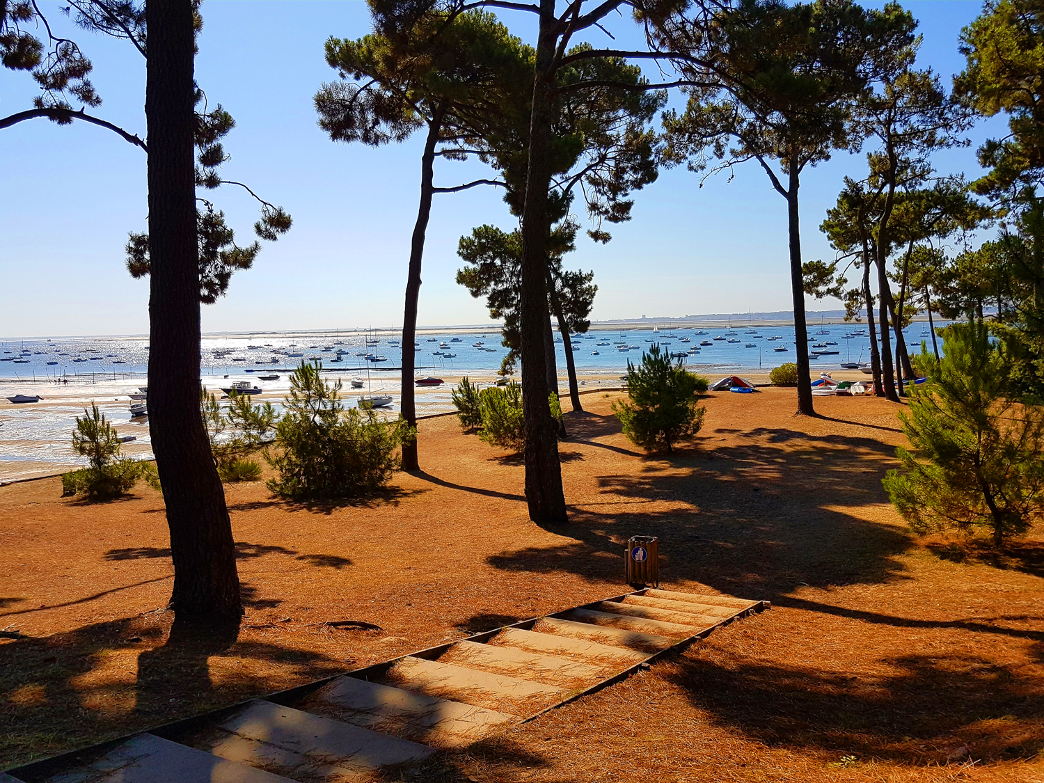 La magnifique pointe aux chevaux et son point de vue sur le bassin d' Arcachon