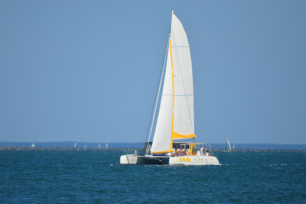 Tip Top One sur le Bassin d'Arcachon