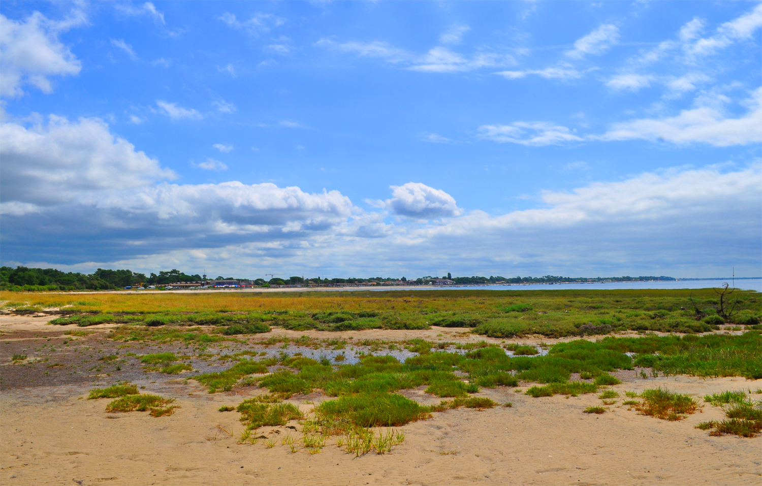 Balade depuis la Réserve de Saint-Brice vers Andernos