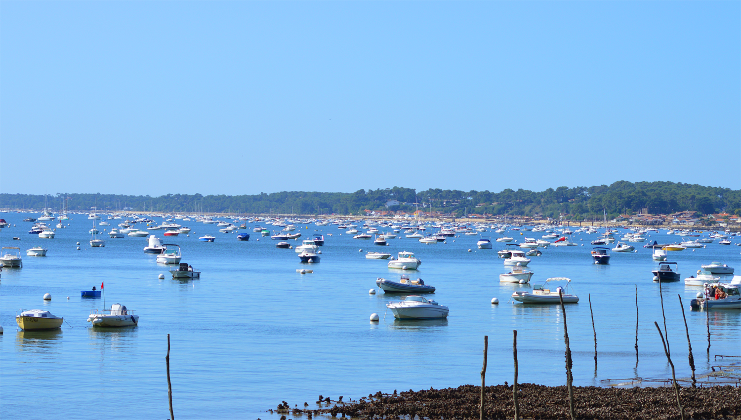 Beaucoup de bateaux devant grand Piquey