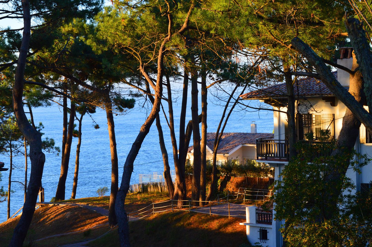 Magnifique vue sur le Bassin d' Arcachon depuis la Corniche