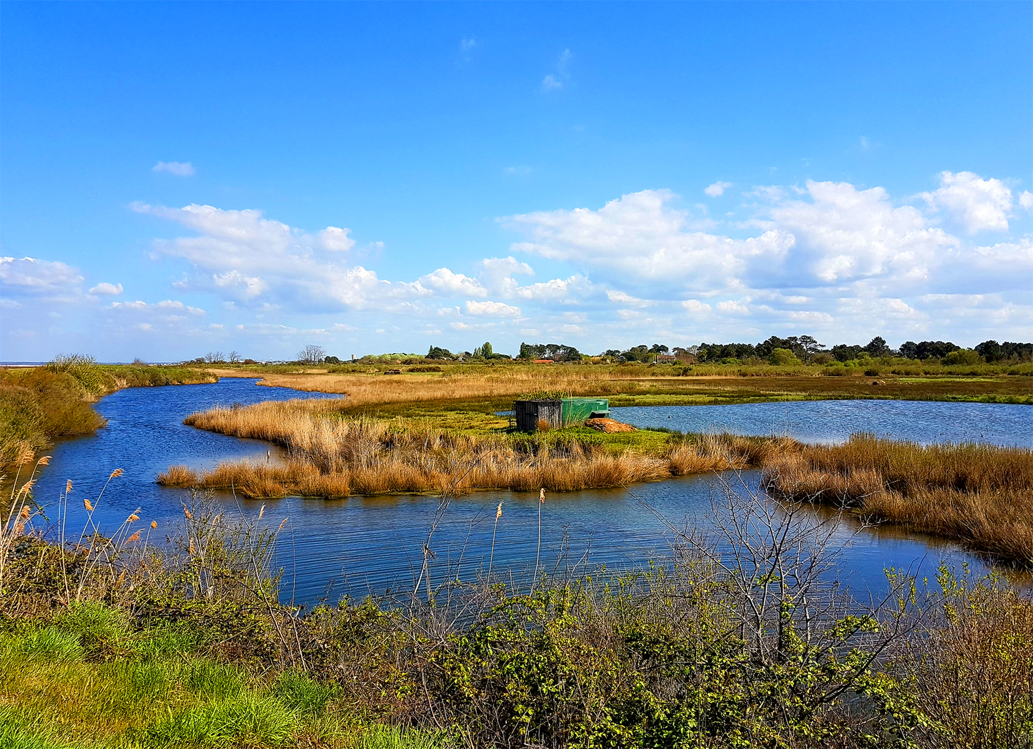 Près salés près de Gujan