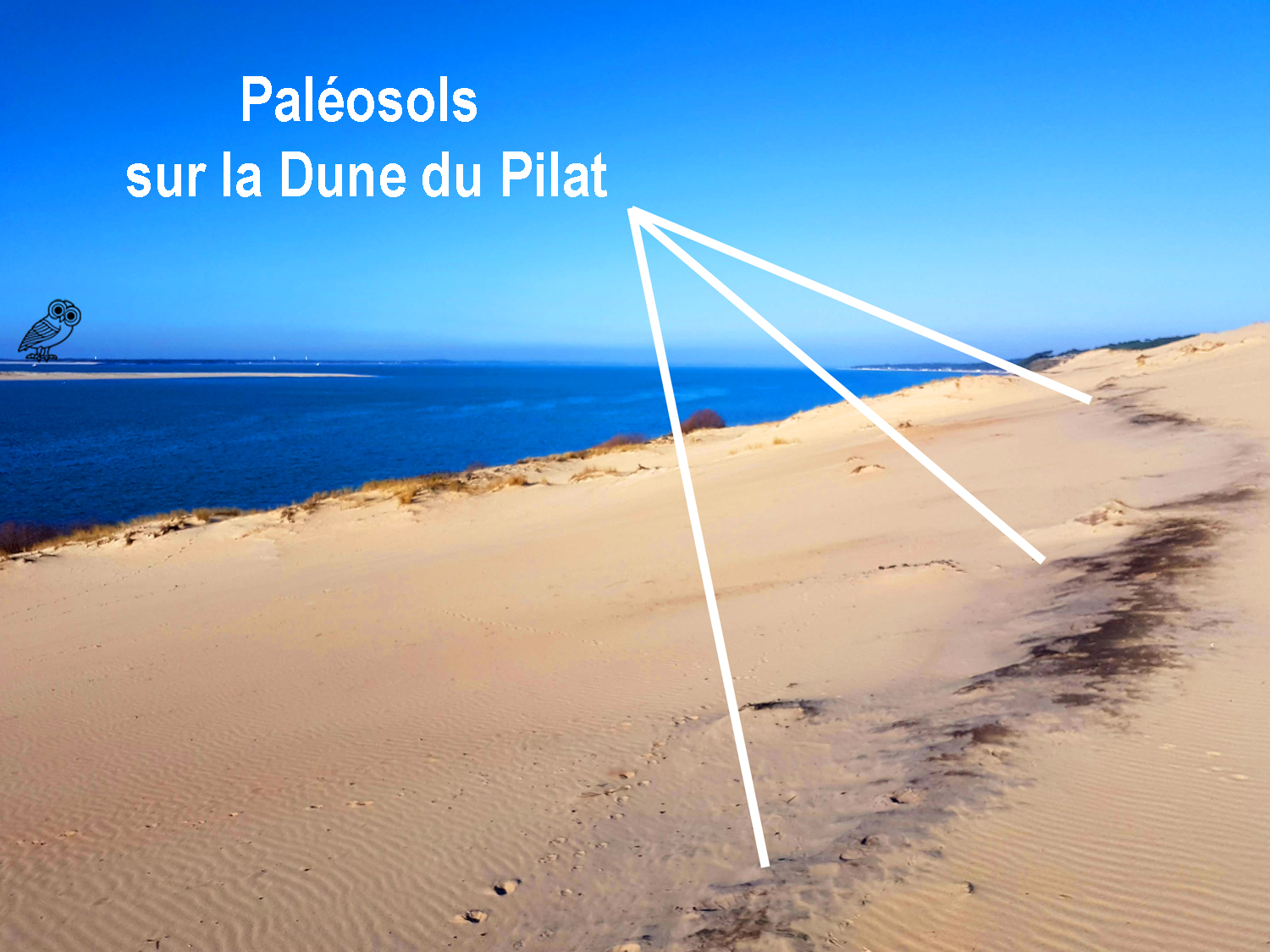 Photo De Paléosols Rouges Voir des paléosols et remonter l'histoire de la Dune du Pilat