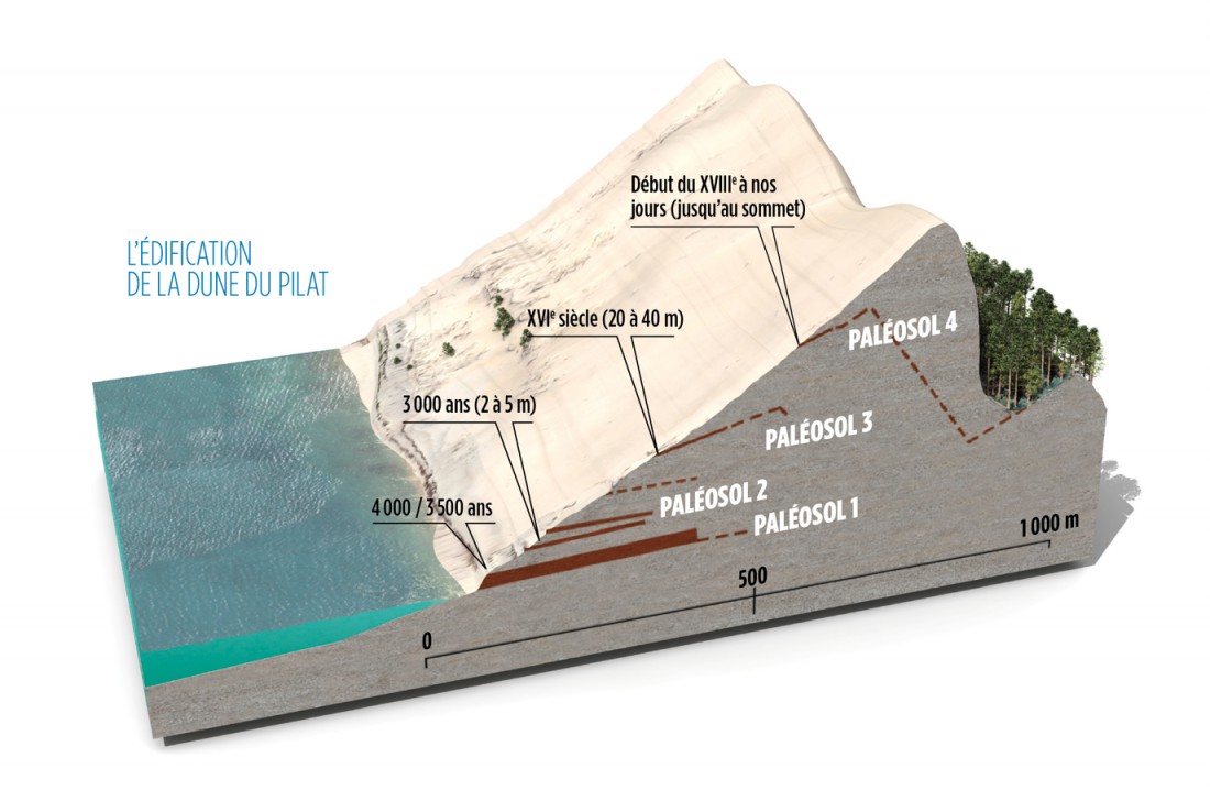 Voir des paléosols et remonter l'histoire de la Dune du Pilat