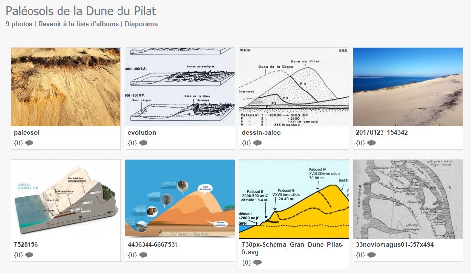Voir des paléosols et remonter l'histoire de la Dune du Pilat