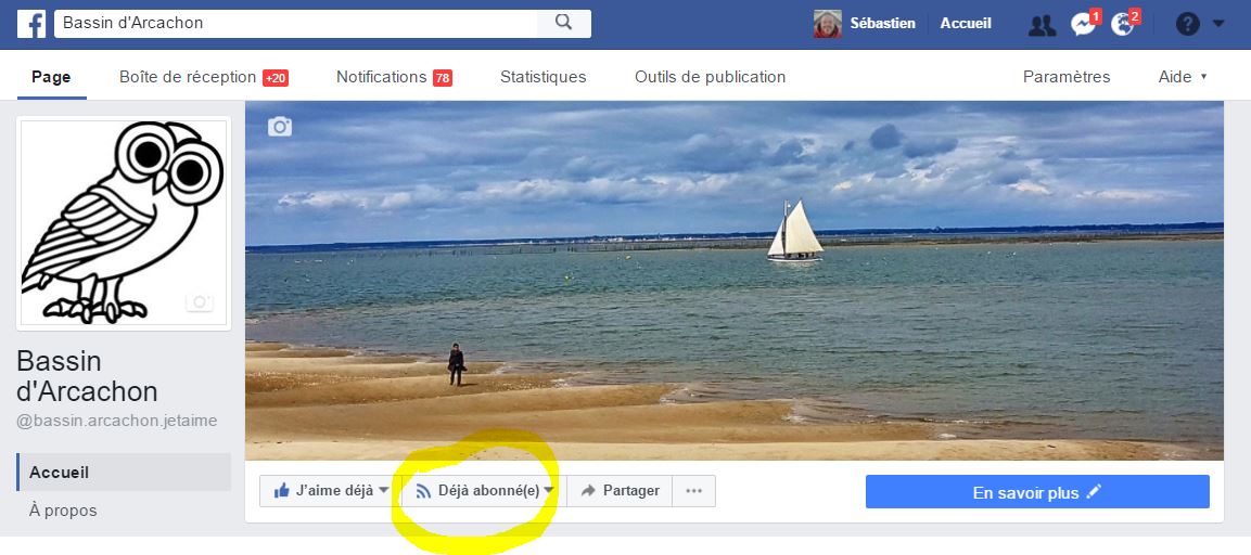 Voir des paléosols et remonter l'histoire de la Dune du Pilat