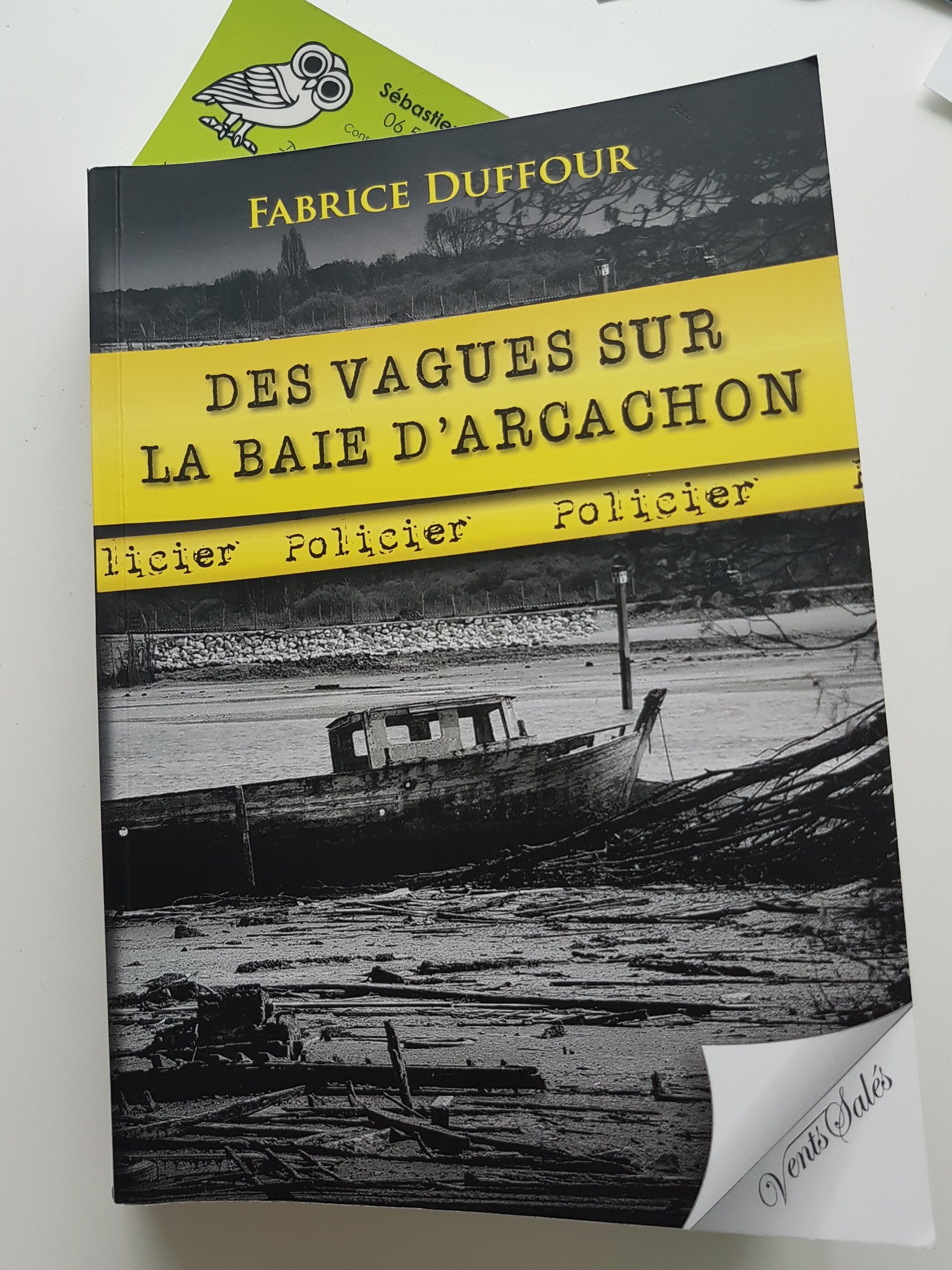 Des vagues sur le Baie d' Arcachon - Fabrice Duffour