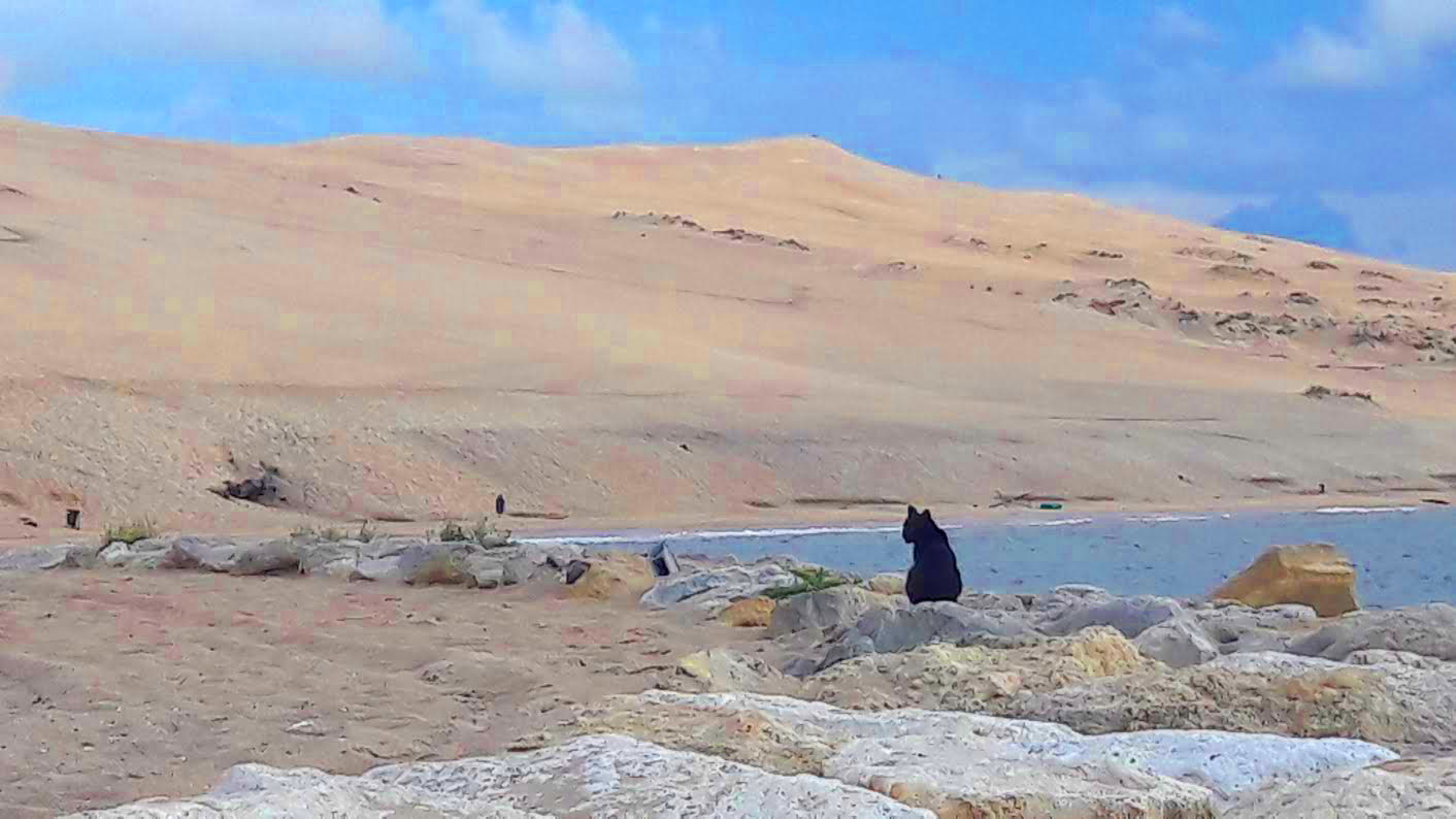 Arrivée des touristes sur le bassin : un de nos meilleurs système de surveillance mis en place