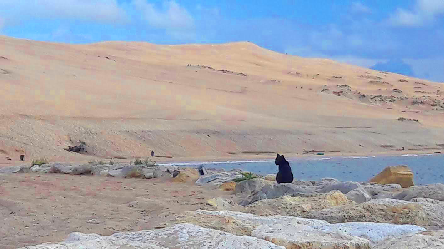 Arrivée des touristes sur le bassin : un de nos meilleurs système de surveillance mis en place