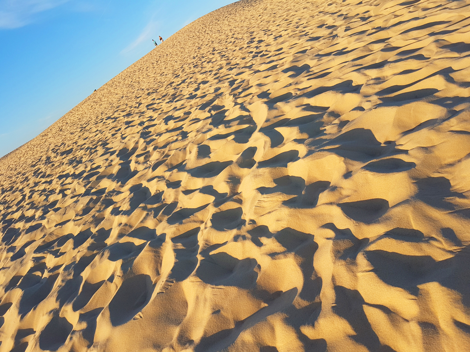 Sable sur une pente de la dune du Pilat