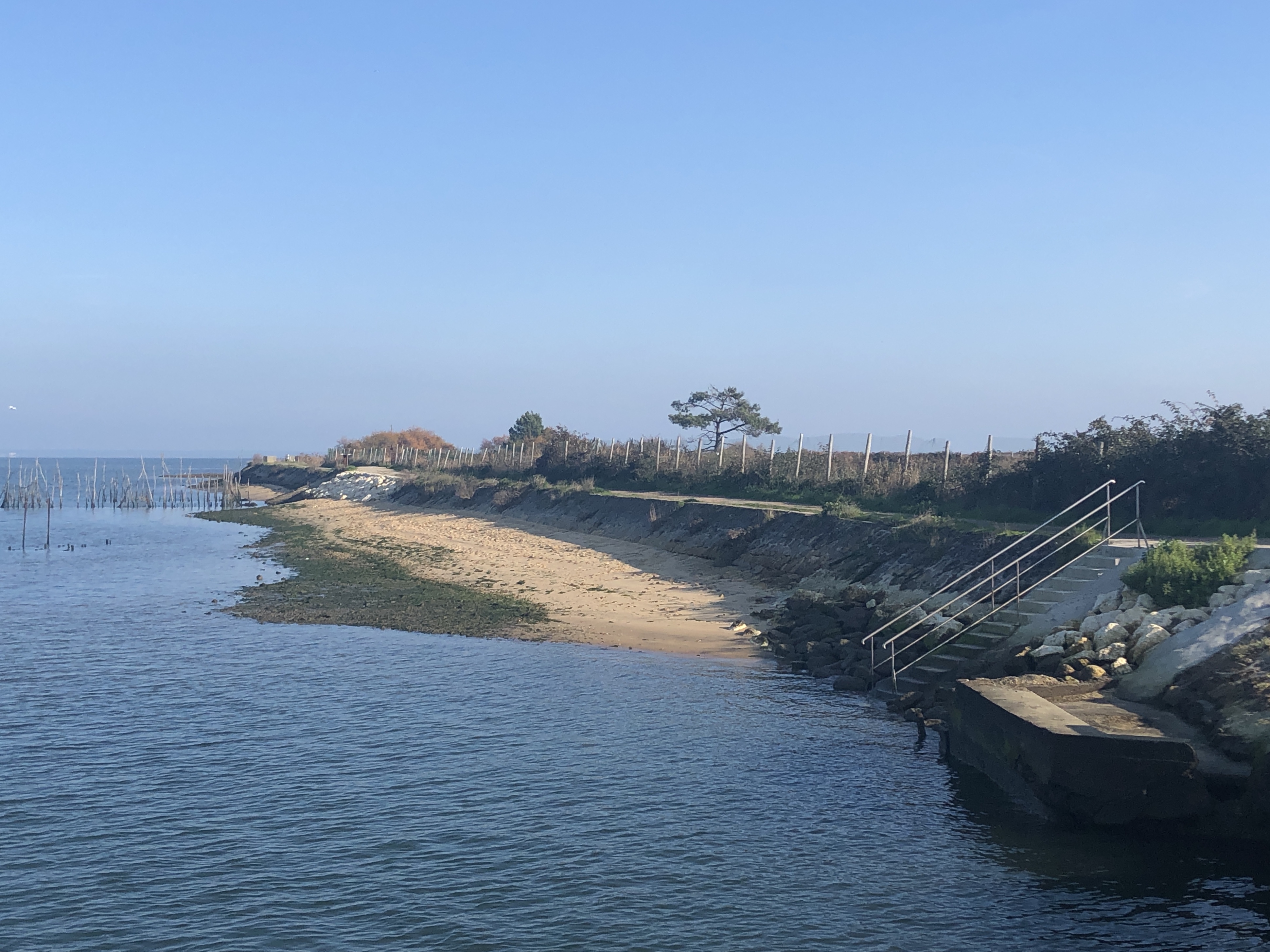 Berge sur bassin d' Arcachon à La Teste de Buch