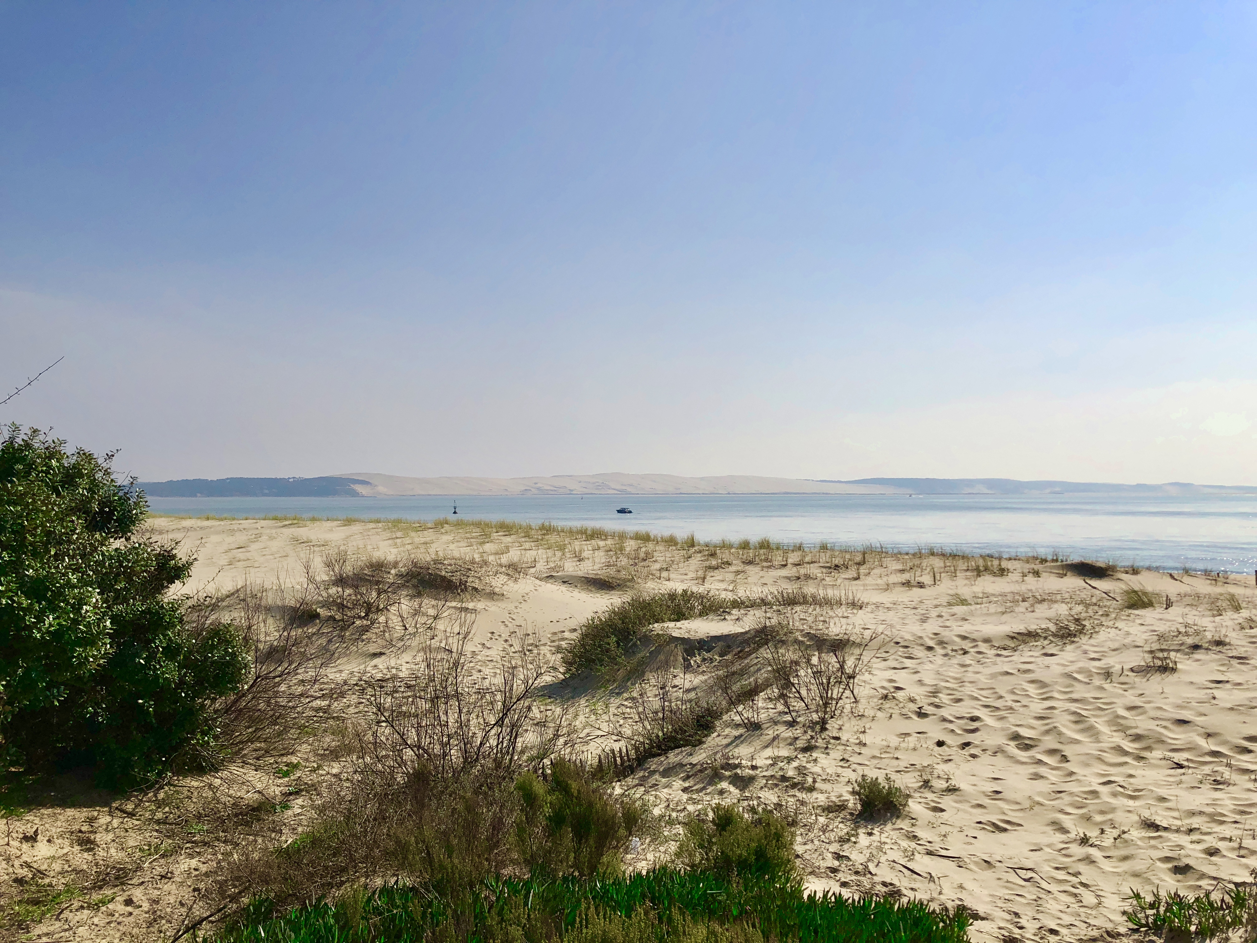 Vue sur la dune depuis la pointe de Lège Cap Ferret