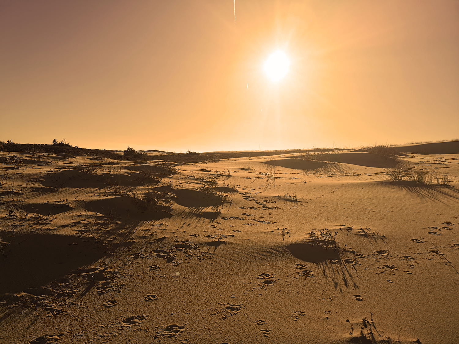 Quand le bassin d' Arcachon ressemble plus à mars qu'à janvier