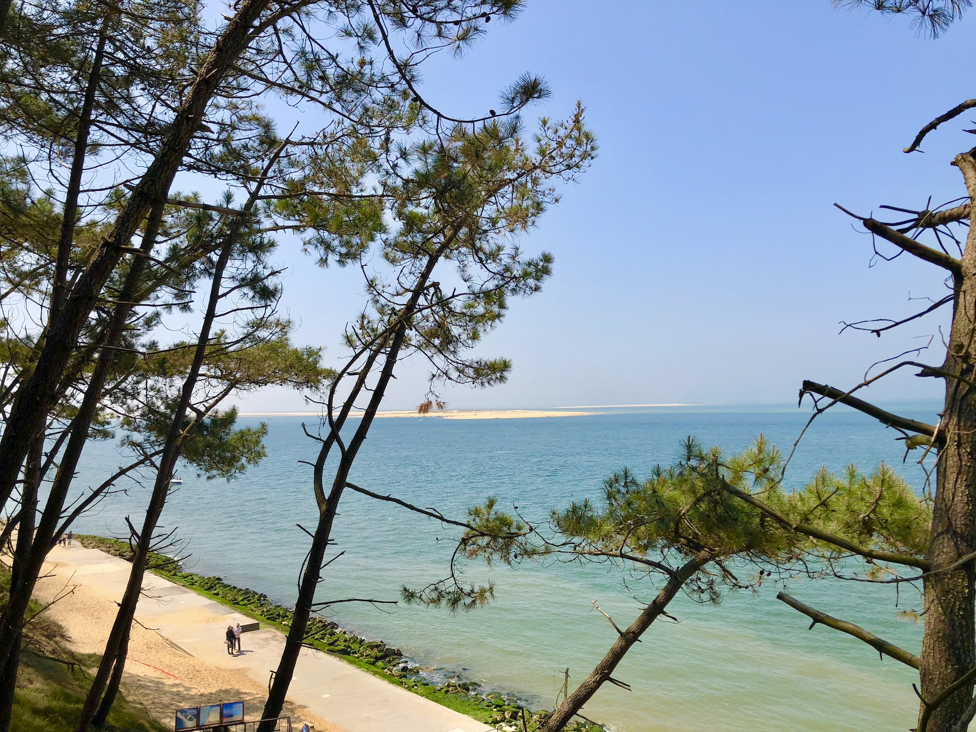 Vue banc d'arguin