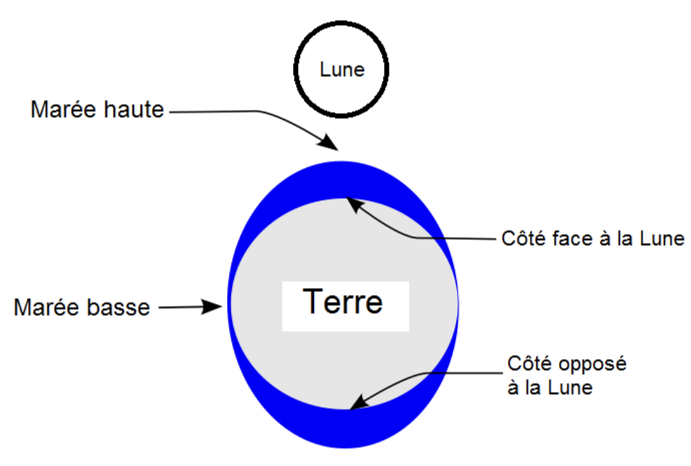 La lune attire par force gravitationnelle les océans, comme le soleil dans une moindre mesure